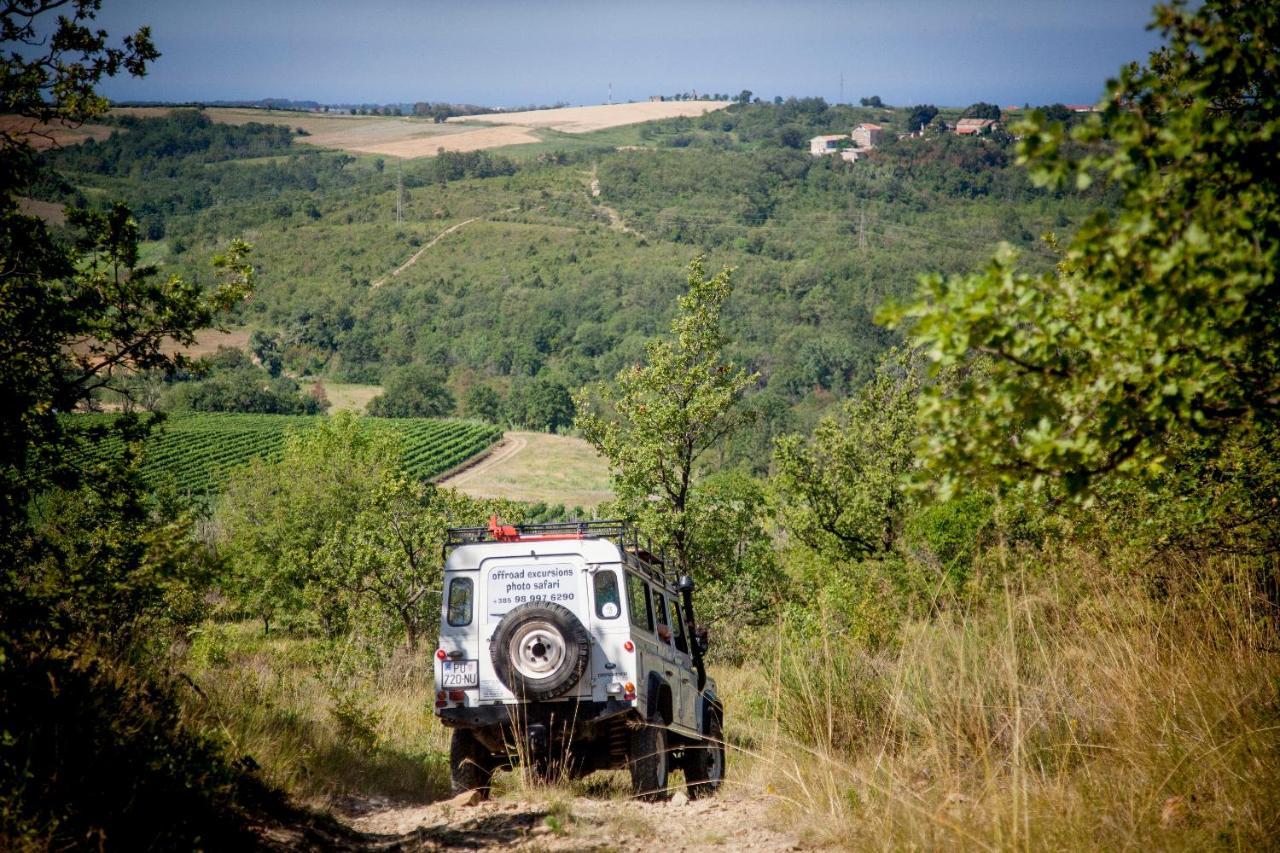 Al Merlo Olivo, Rural Istrian House Buje Εξωτερικό φωτογραφία