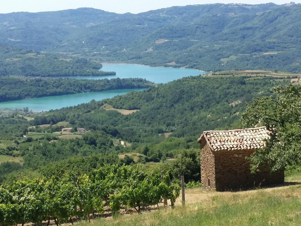 Al Merlo Olivo, Rural Istrian House Buje Εξωτερικό φωτογραφία