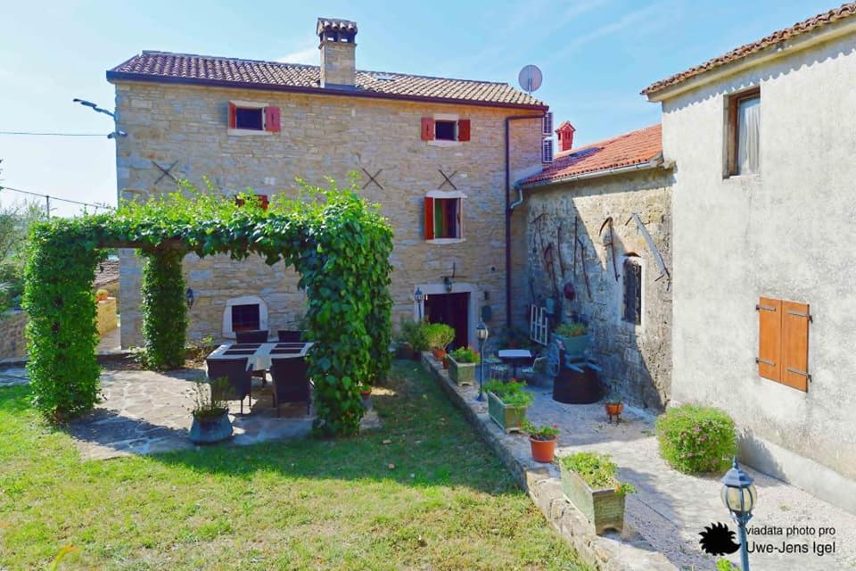 Al Merlo Olivo, Rural Istrian House Buje Εξωτερικό φωτογραφία