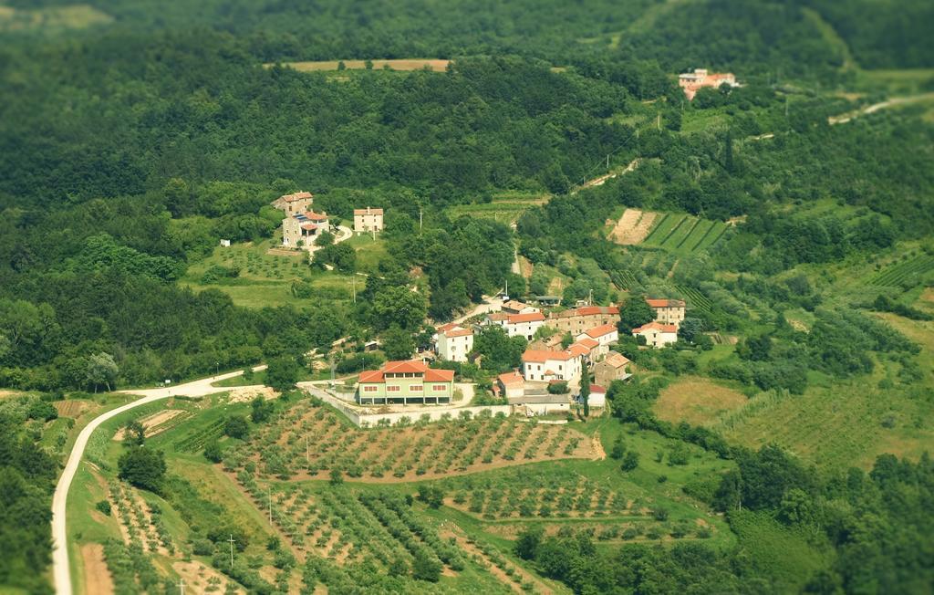 Al Merlo Olivo, Rural Istrian House Buje Εξωτερικό φωτογραφία