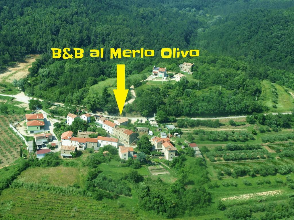 Al Merlo Olivo, Rural Istrian House Buje Εξωτερικό φωτογραφία