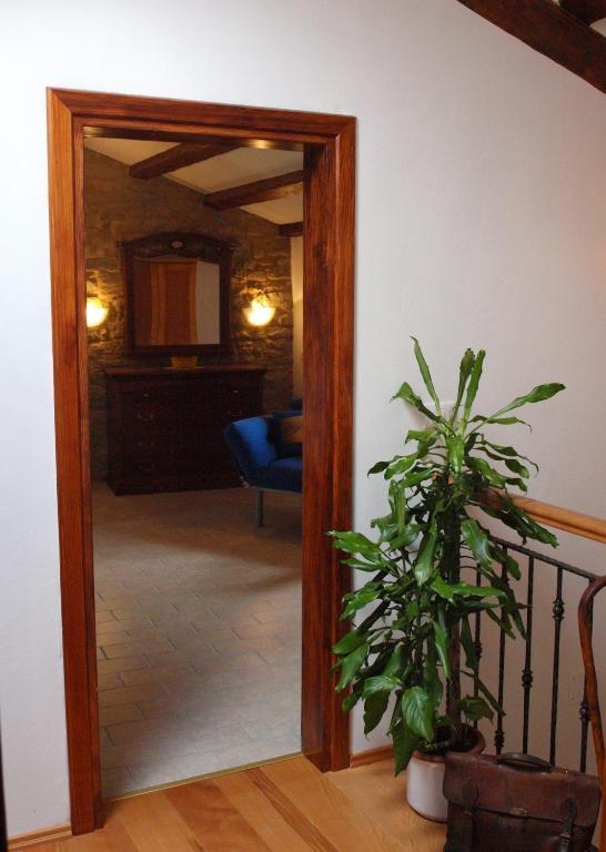 Al Merlo Olivo, Rural Istrian House Buje Δωμάτιο φωτογραφία