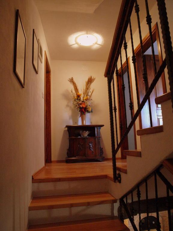Al Merlo Olivo, Rural Istrian House Buje Εξωτερικό φωτογραφία