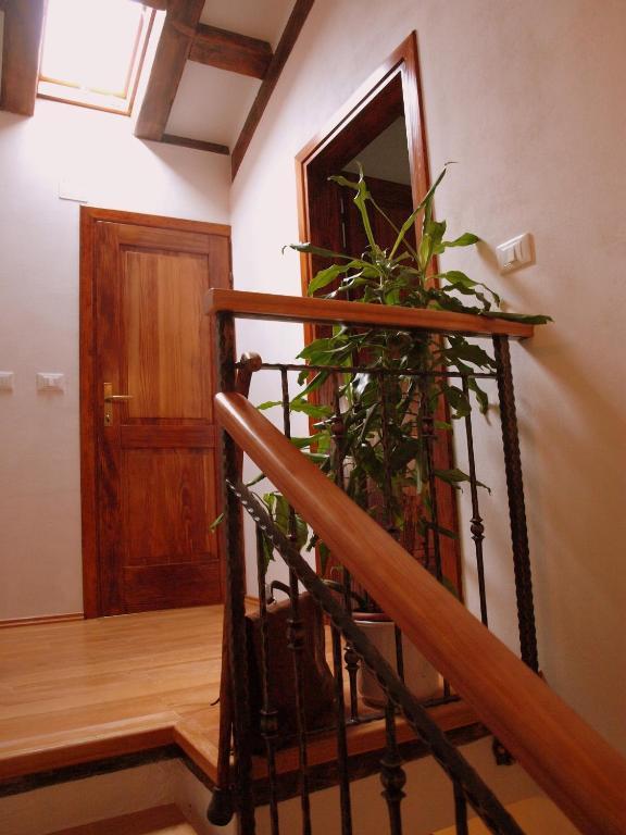 Al Merlo Olivo, Rural Istrian House Buje Εξωτερικό φωτογραφία