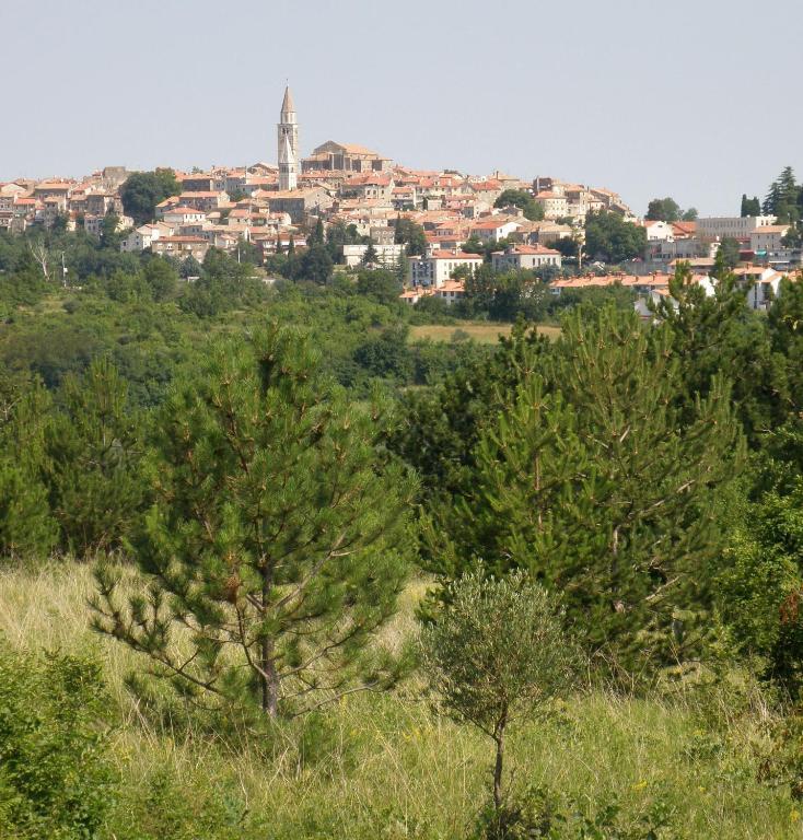 Al Merlo Olivo, Rural Istrian House Buje Εξωτερικό φωτογραφία