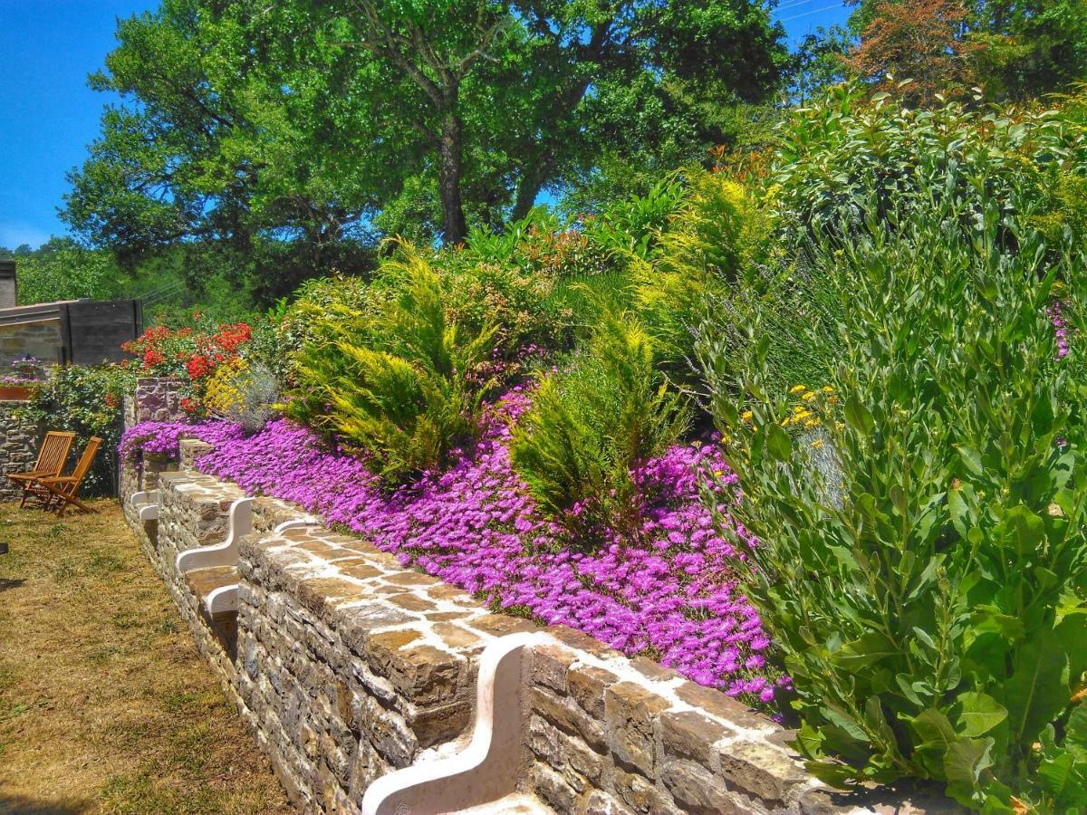 Al Merlo Olivo, Rural Istrian House Buje Εξωτερικό φωτογραφία