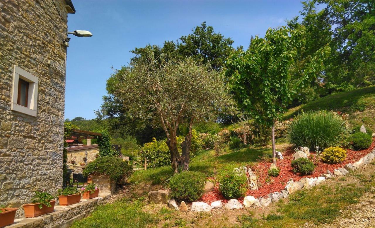 Al Merlo Olivo, Rural Istrian House Buje Εξωτερικό φωτογραφία