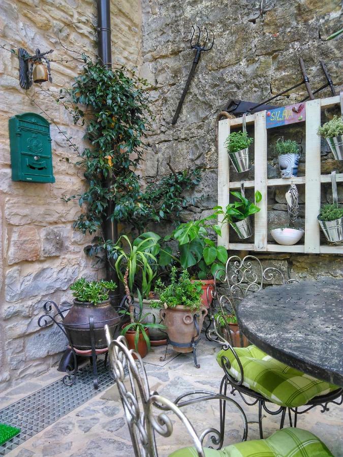 Al Merlo Olivo, Rural Istrian House Buje Εξωτερικό φωτογραφία