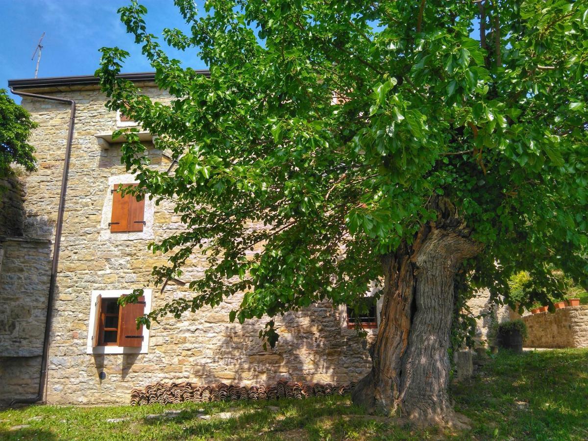 Al Merlo Olivo, Rural Istrian House Buje Εξωτερικό φωτογραφία