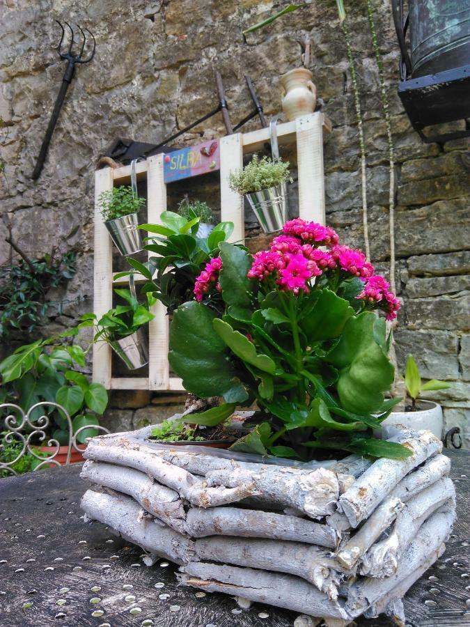 Al Merlo Olivo, Rural Istrian House Buje Εξωτερικό φωτογραφία