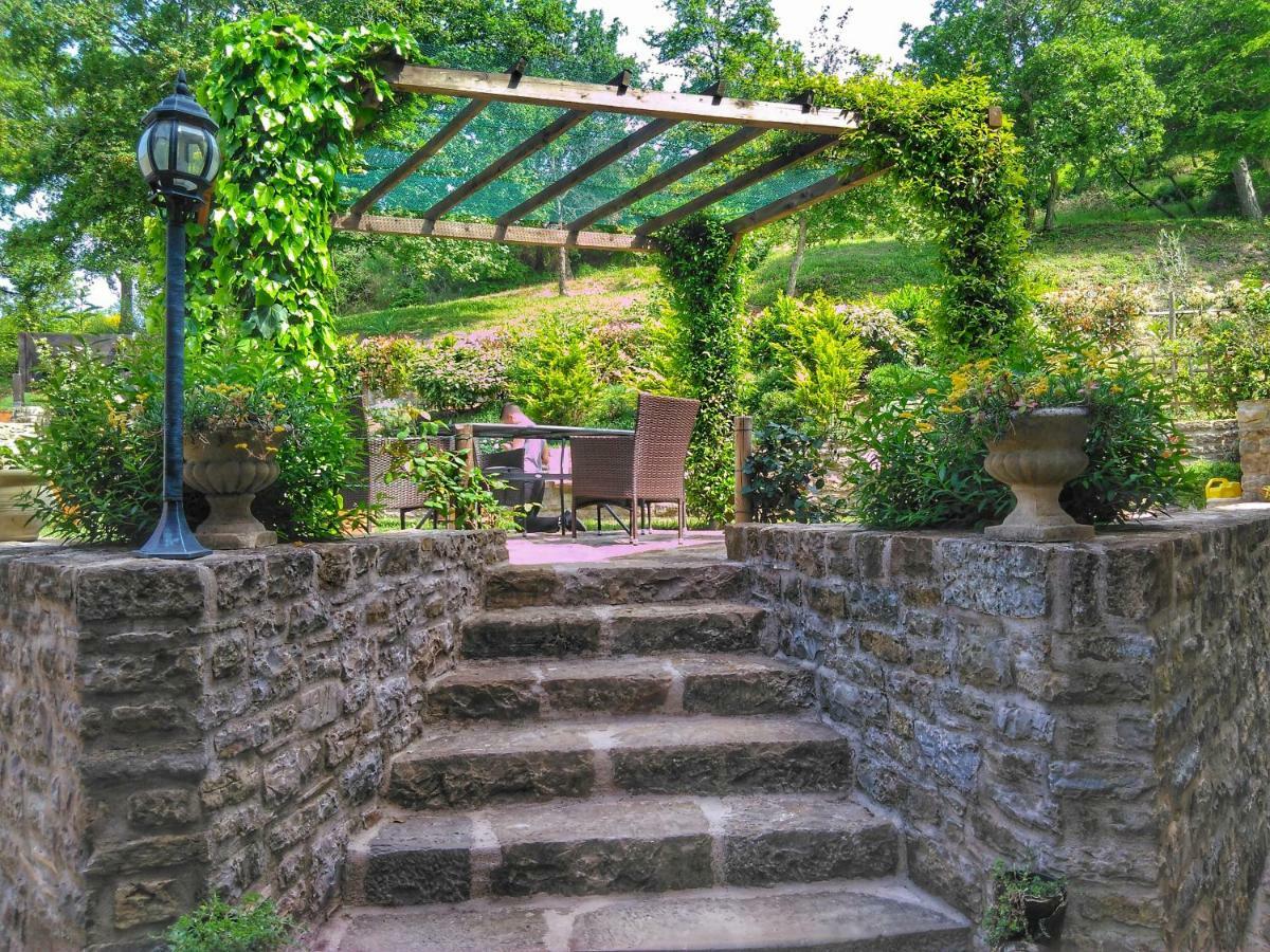 Al Merlo Olivo, Rural Istrian House Buje Εξωτερικό φωτογραφία