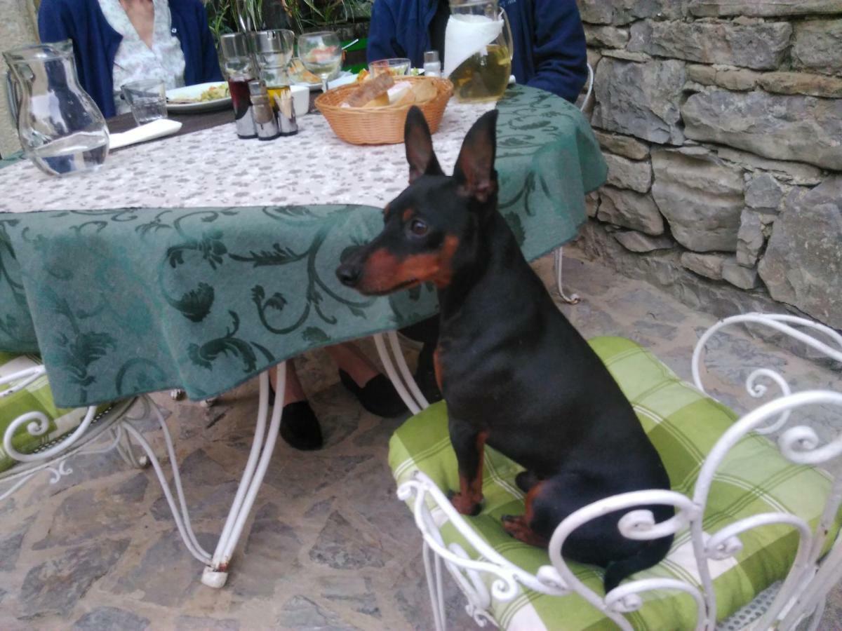 Al Merlo Olivo, Rural Istrian House Buje Εξωτερικό φωτογραφία