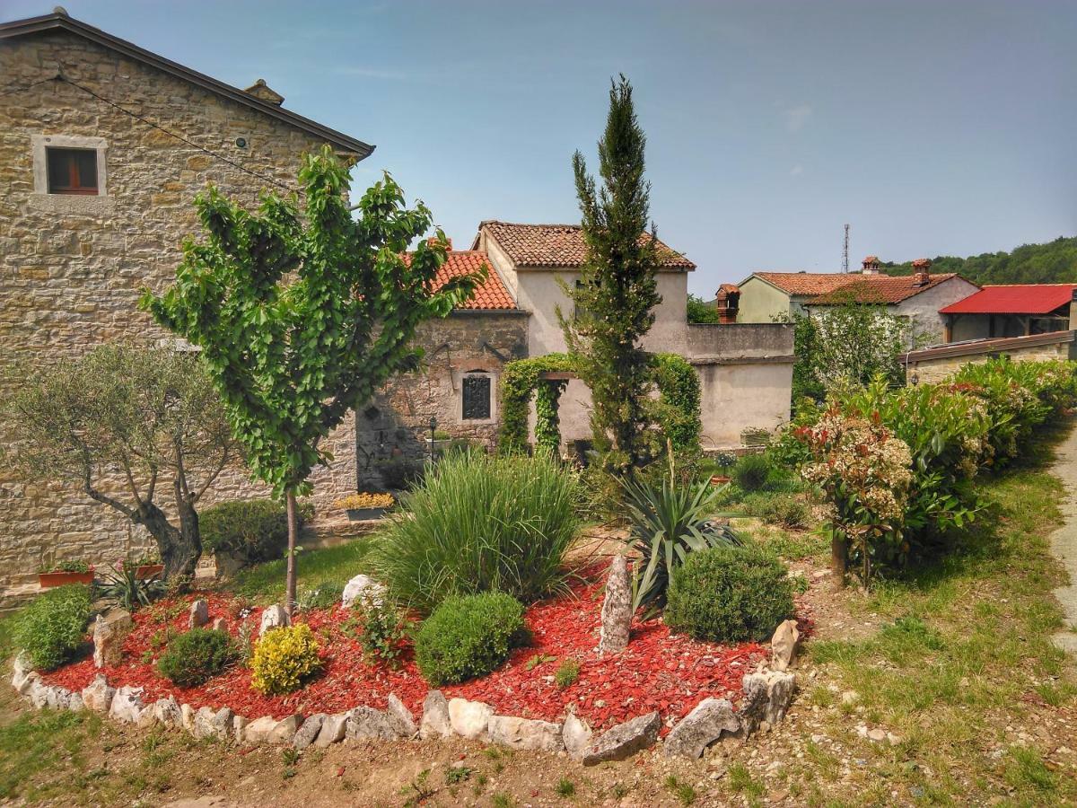 Al Merlo Olivo, Rural Istrian House Buje Εξωτερικό φωτογραφία